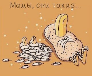 Источник Интернет.