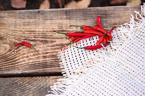 Фото взято из открытых источников 