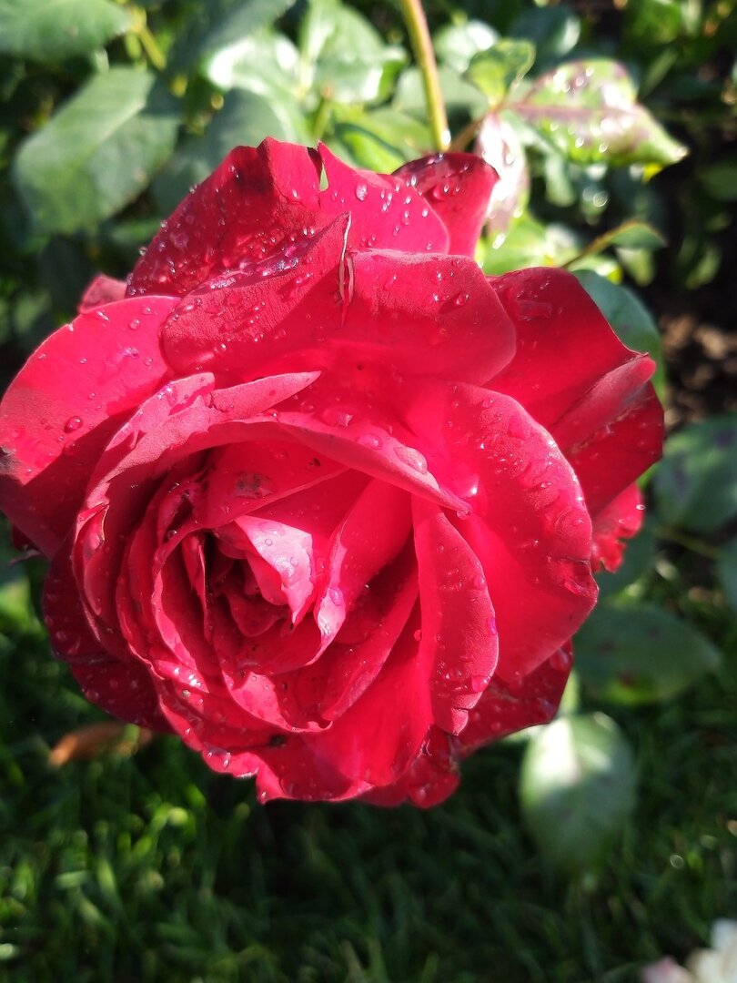 *                                                                                               Фото автора статьи