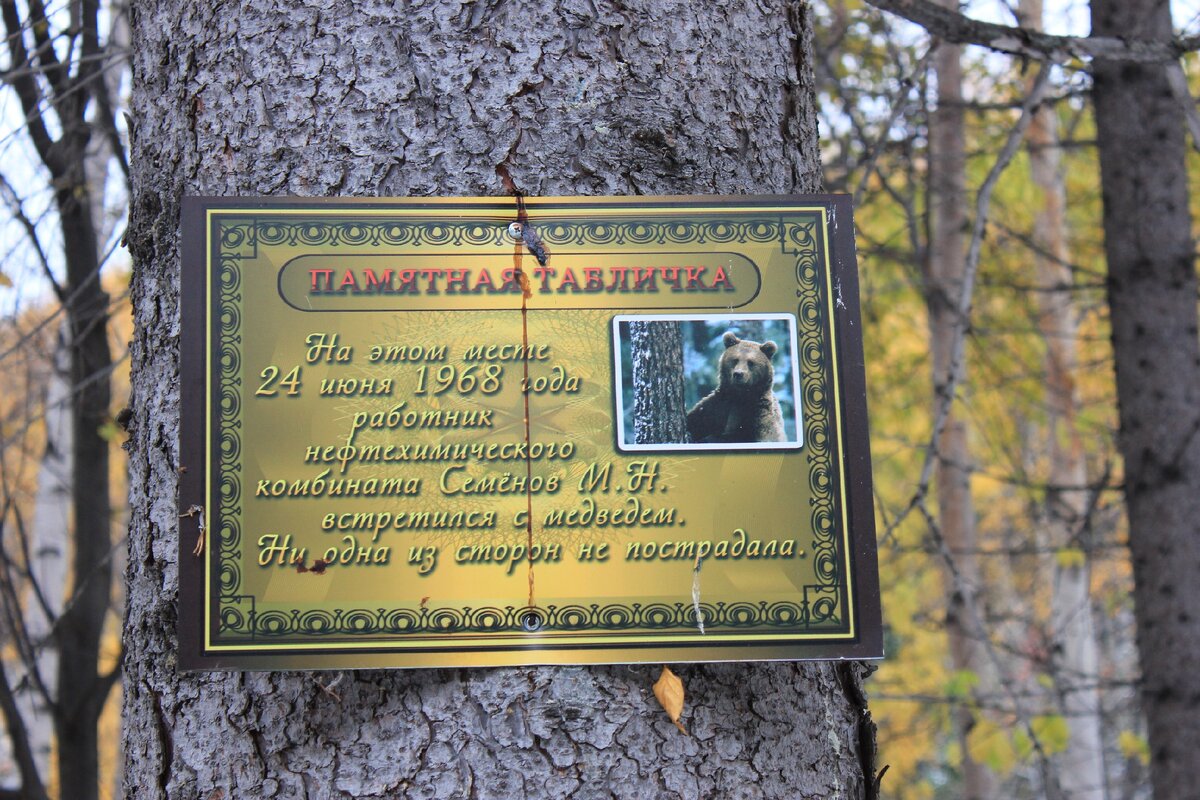 Местные страшилки
