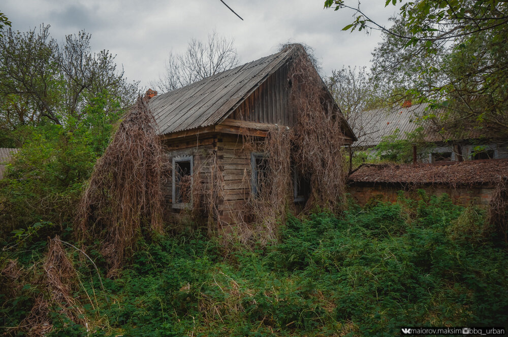 Самое уютное село Чернобыльской зоны отчуждения. Остался тут на 2 дня, рассказываю что происходит вокруг