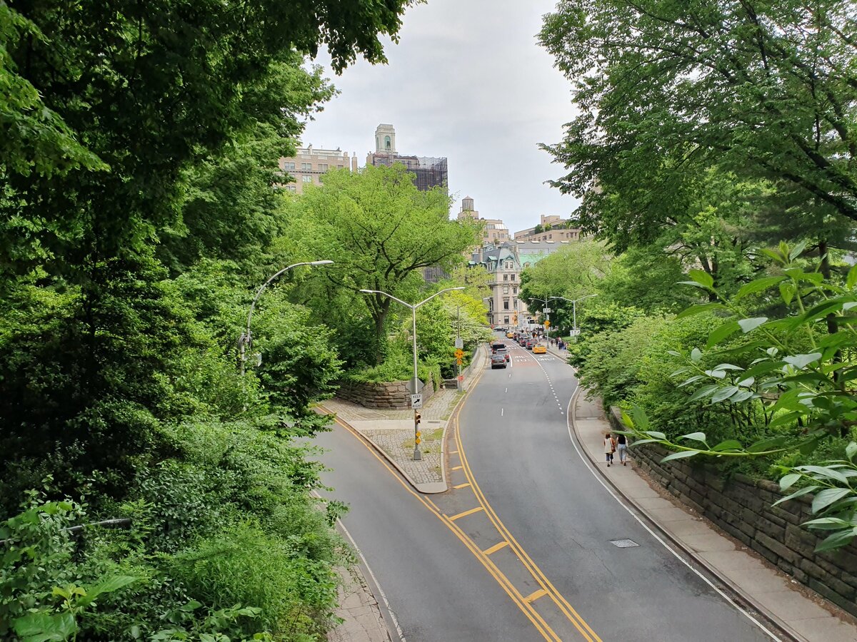 Вид из центрального парка на 85 стрит 