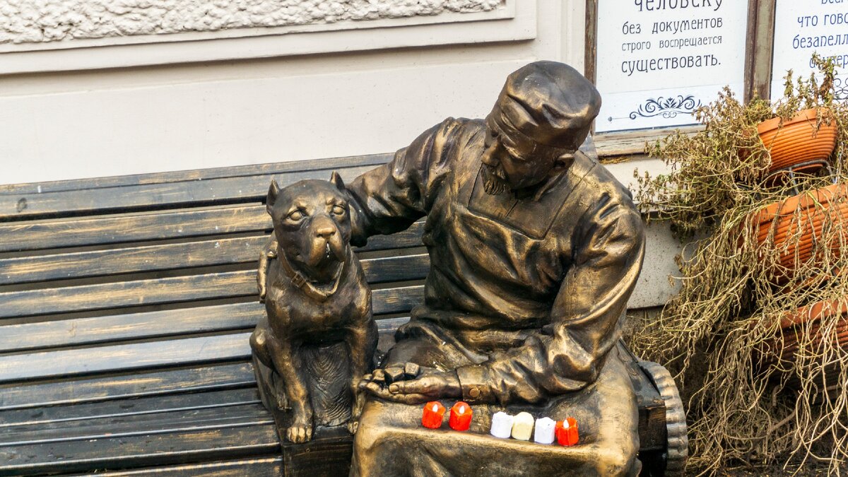 Памятник героям операции ы. Памятник героям собачьего сердца в Санкт-Петербурге. Памятник героям собачьего сердца. Памятник Собачье сердце на Моховой. Памятник героям повести Собачье сердце.