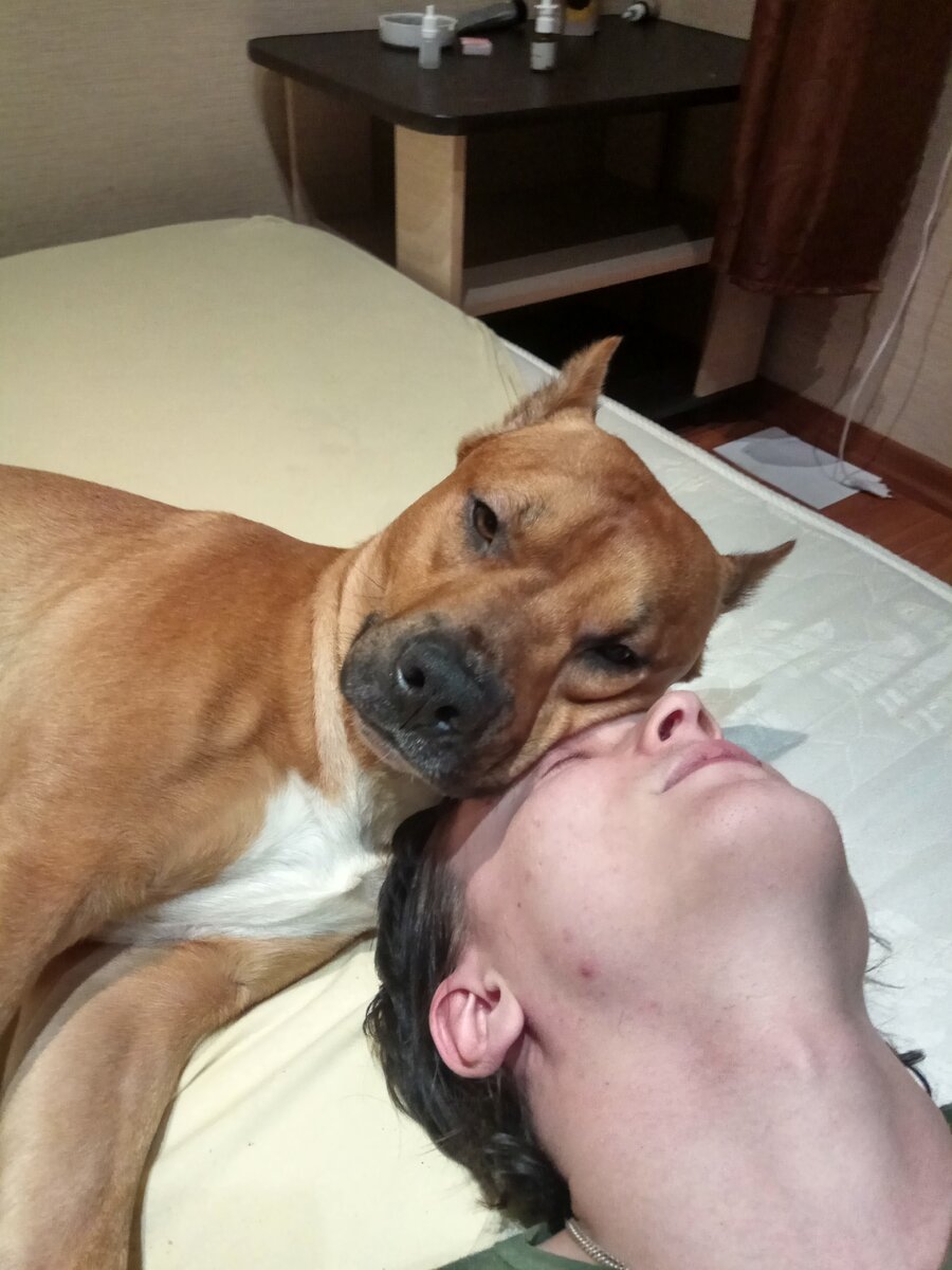 Я - соскучился!