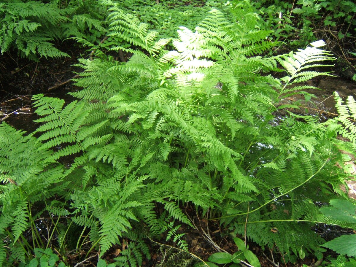 Национальный парк Баян Аул. Ущелье ведьм