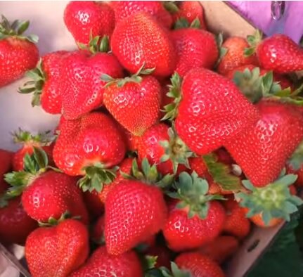 зимой? клубнику? да, дорогой, купи, пожалуйста