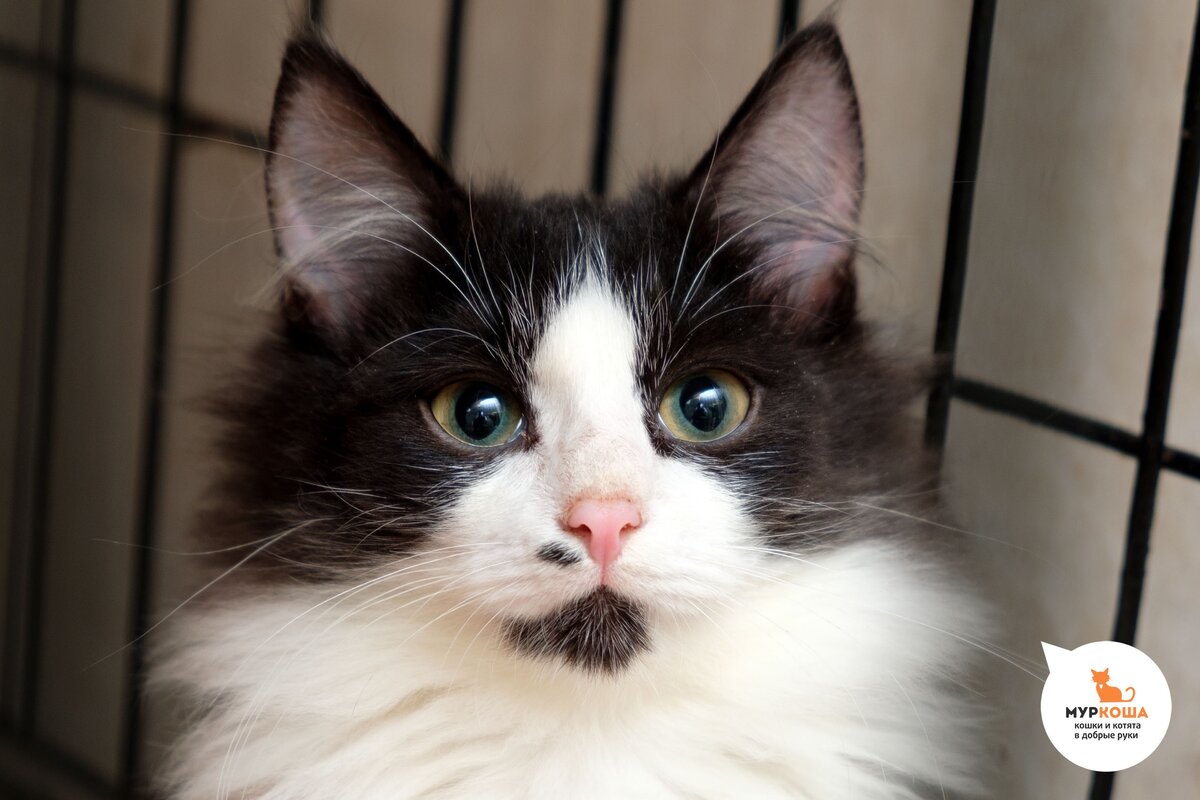 Альпина, 6 месяцев