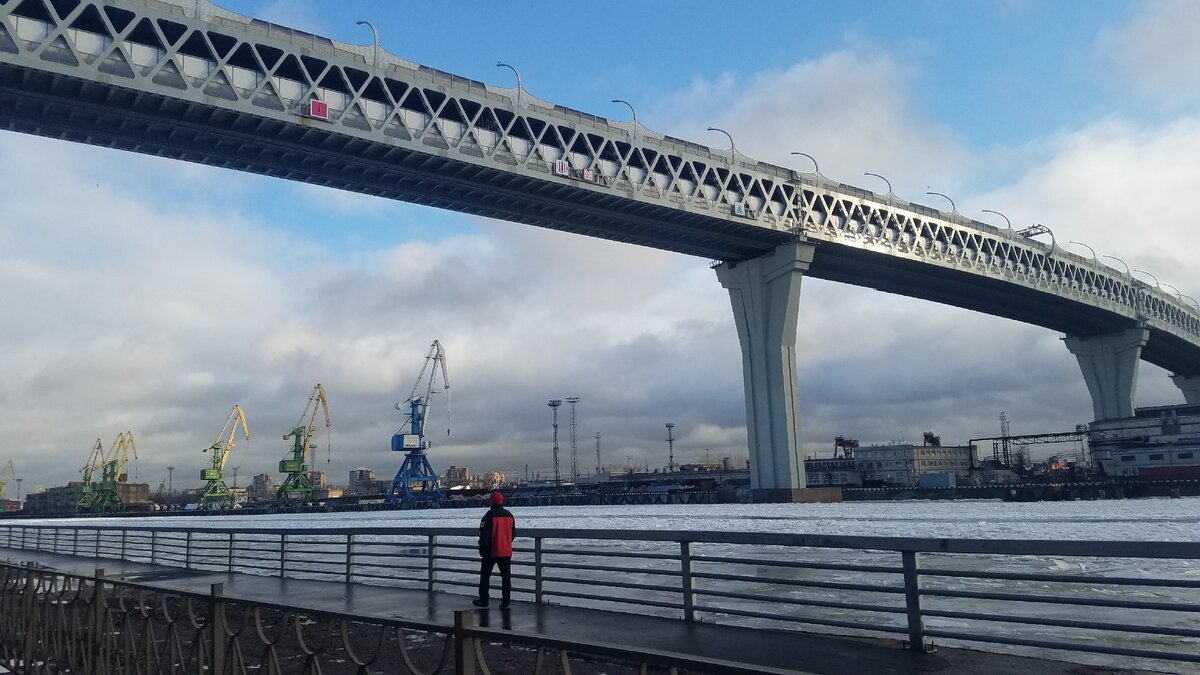 Западный скоростной диаметр (ЗСД) над Морским каналом