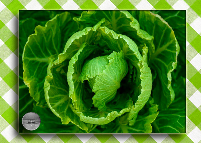 Салаты из капусты.