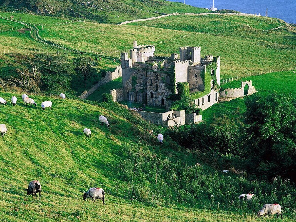 Фотография взята из коллекции Яндекс коллекция