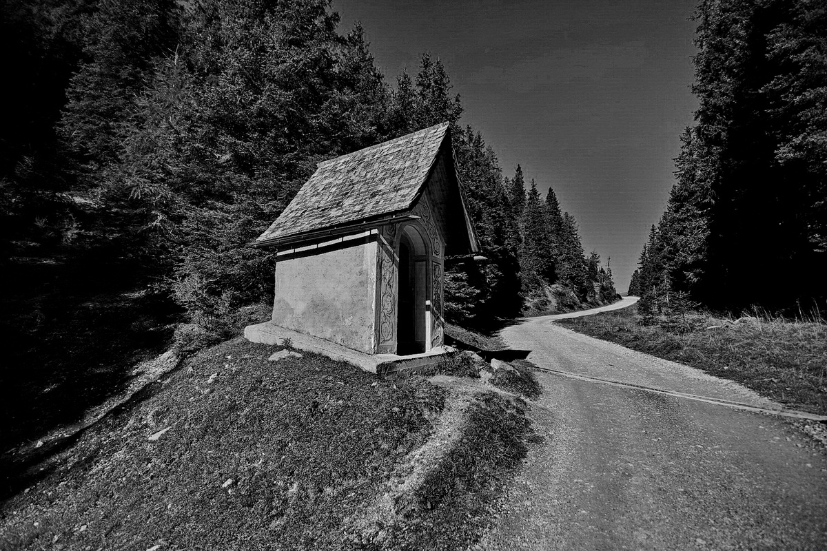 Фото автора.