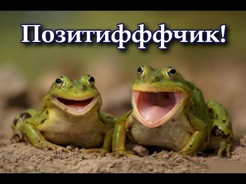 Смотрите! У неё всего 2 ножки и даже нет бородавок!  Она не такая как мы! (почти как в сказке Андерсена про Дюймовочку) Источник: https://bipbap.ru/pictures/prikolnye-kartinki-o-zhivotnyh-90-foto.html