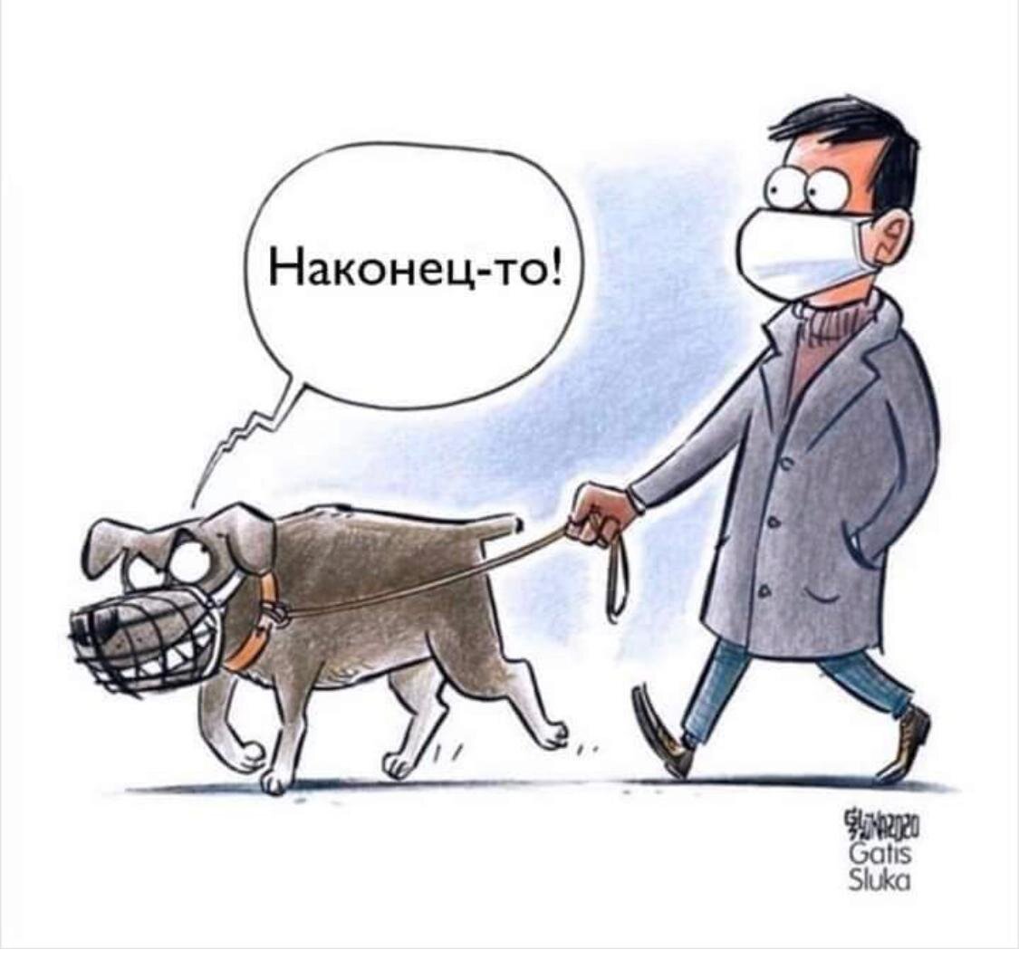 Вы думаете, коронавирус виноват? 