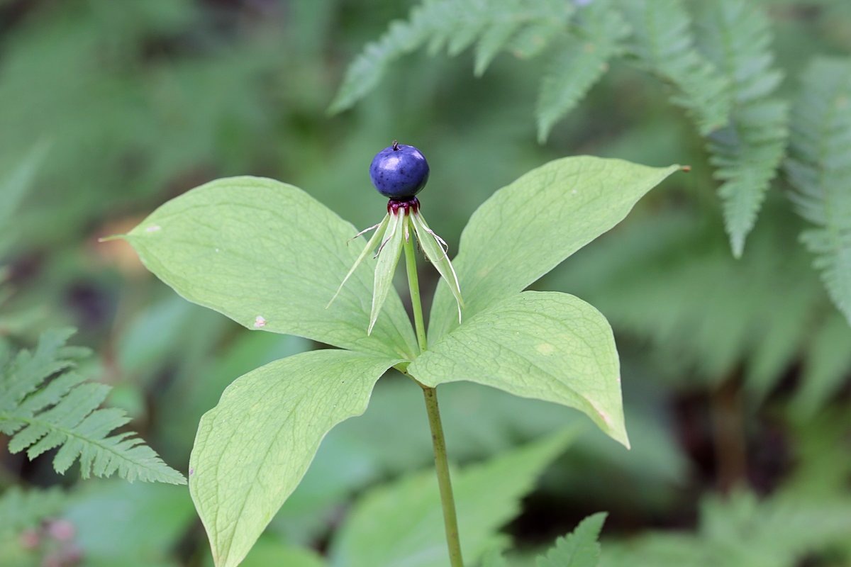 Фото из Яндекс.Картинки