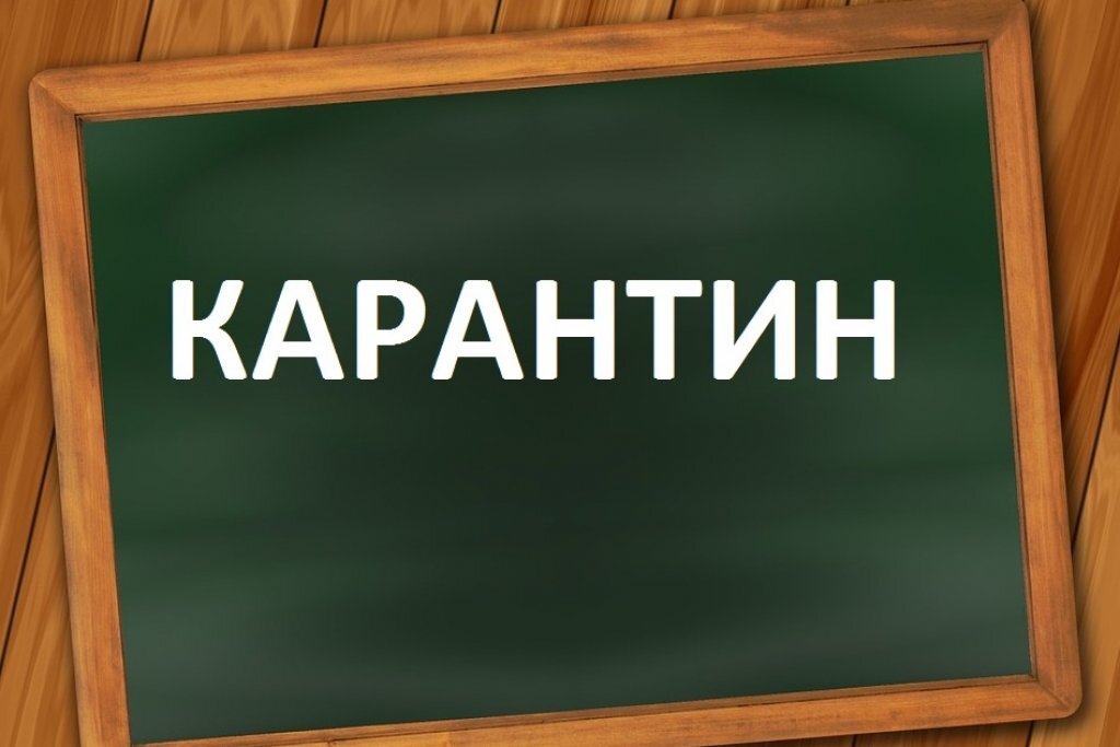Фото из интернета