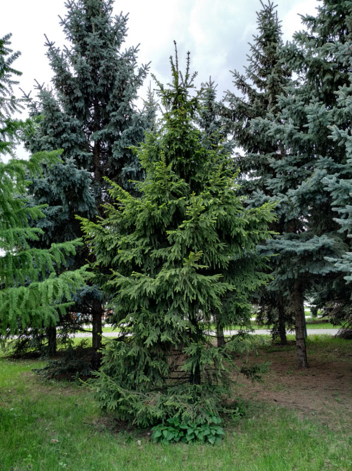 Парк имени 850-летия города Москвы в Марьино