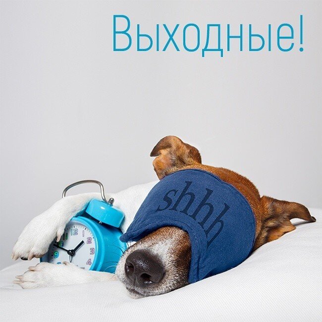 Карантин!?