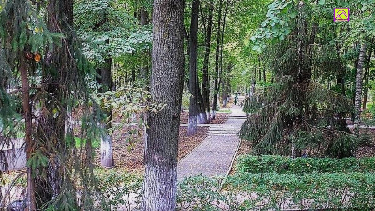 В старом курортном парке