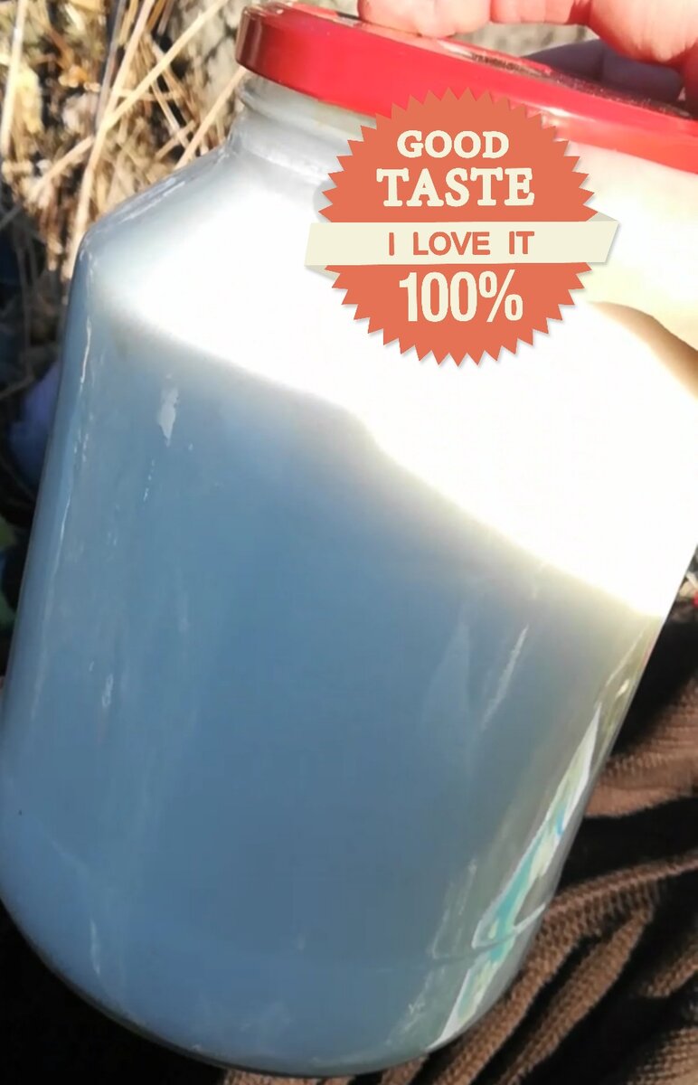 Фото: из архива автора 