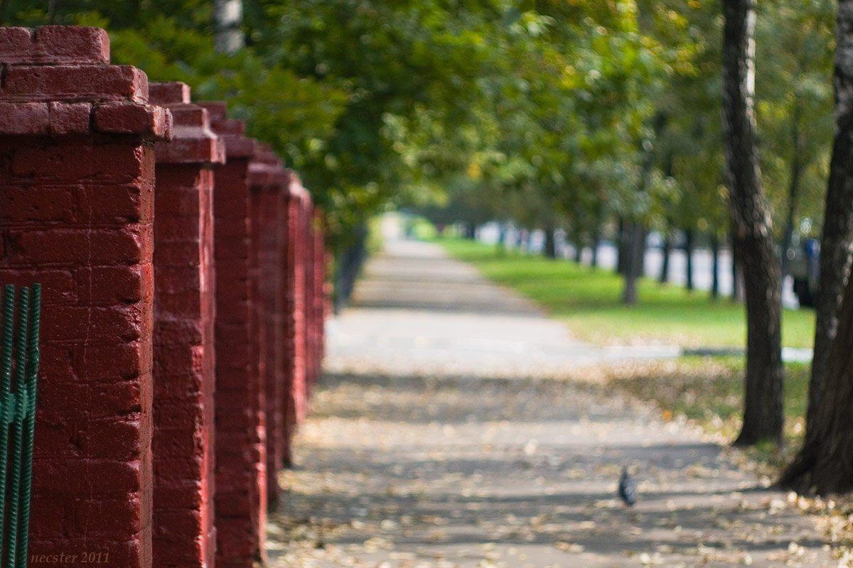 Все фотографии сделаны на Nikon D50