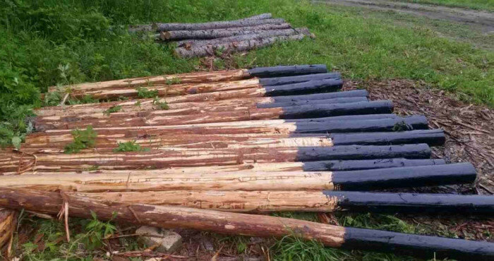 Фото: jordin.ru/wp-content/uploads/2020/02/bdde9e059807dc5293aba4338e763e76.jpg