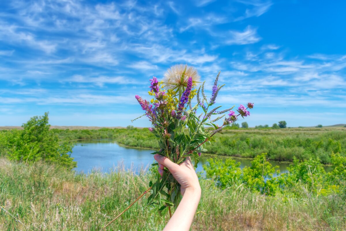 Словно ветер река. Природа Алтайского края степь. Оренбуржье край родной. Оренбуржье край Благословенный. Родные края Оренбуржья.