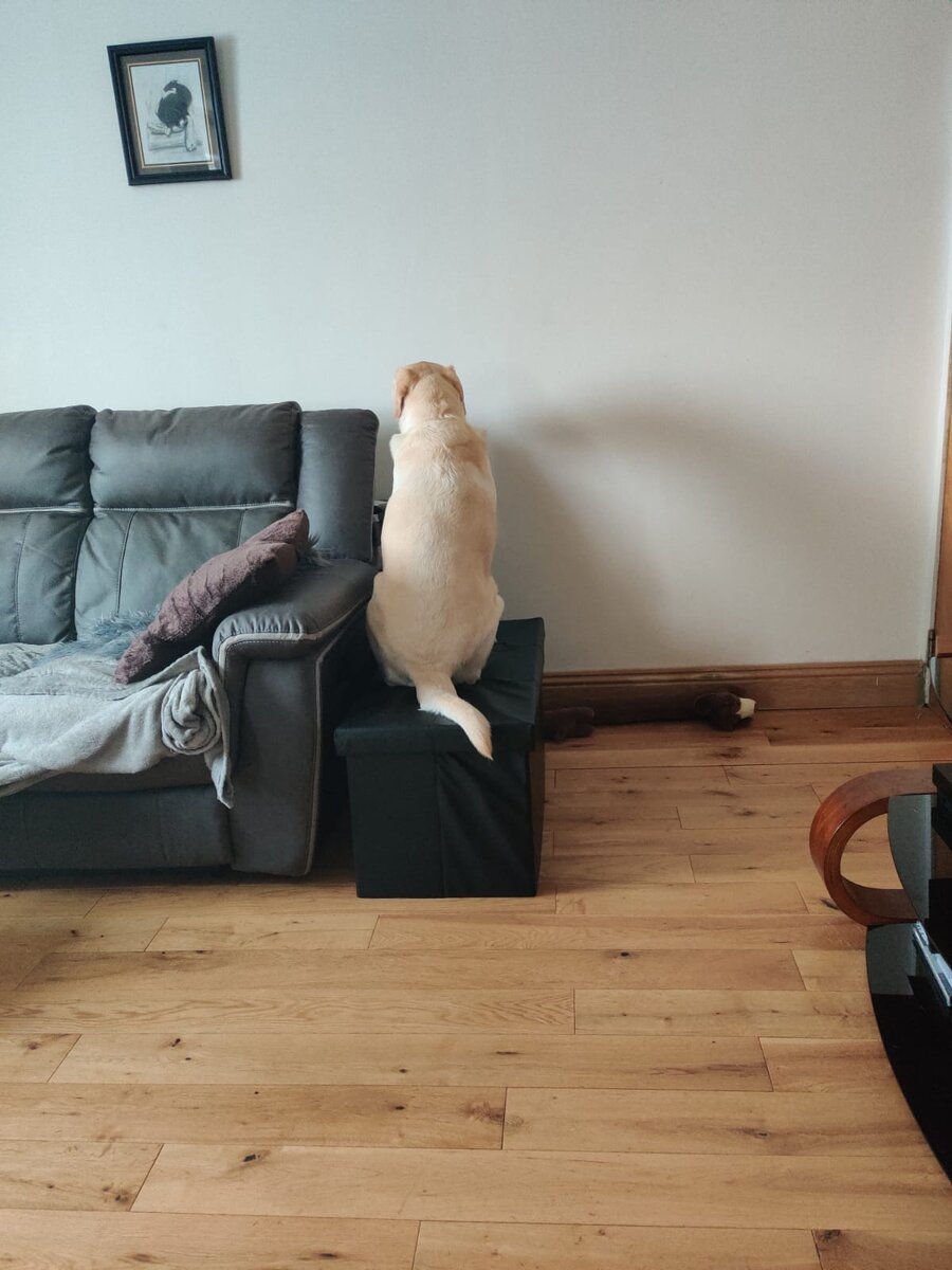 Экзестенциальная грусть