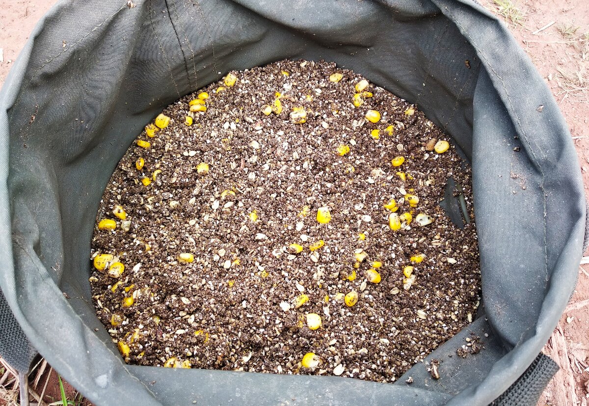 Кукуруза хороша и как добавка в прикормку, и как насадка...