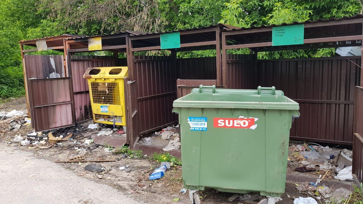 Фото: Андрей Журавлев