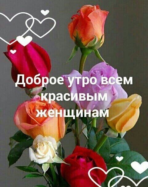 Доброе утро. 