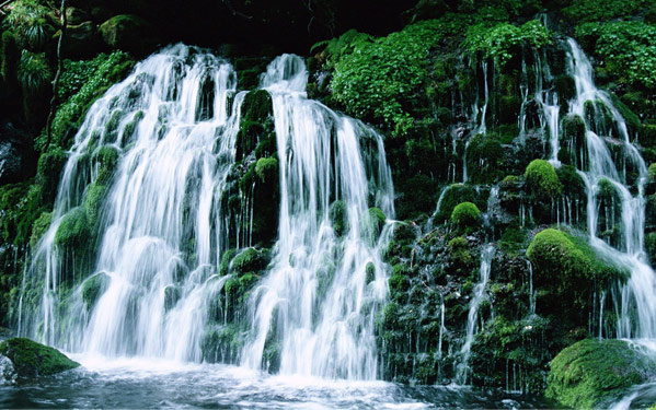 Природная красота убила невесту