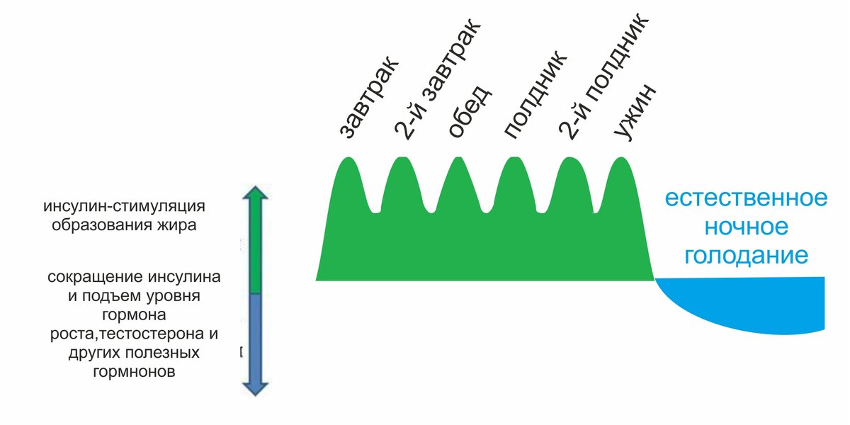 Эта схема иллюстрирует гормональный баланс при частом, дробном питании.