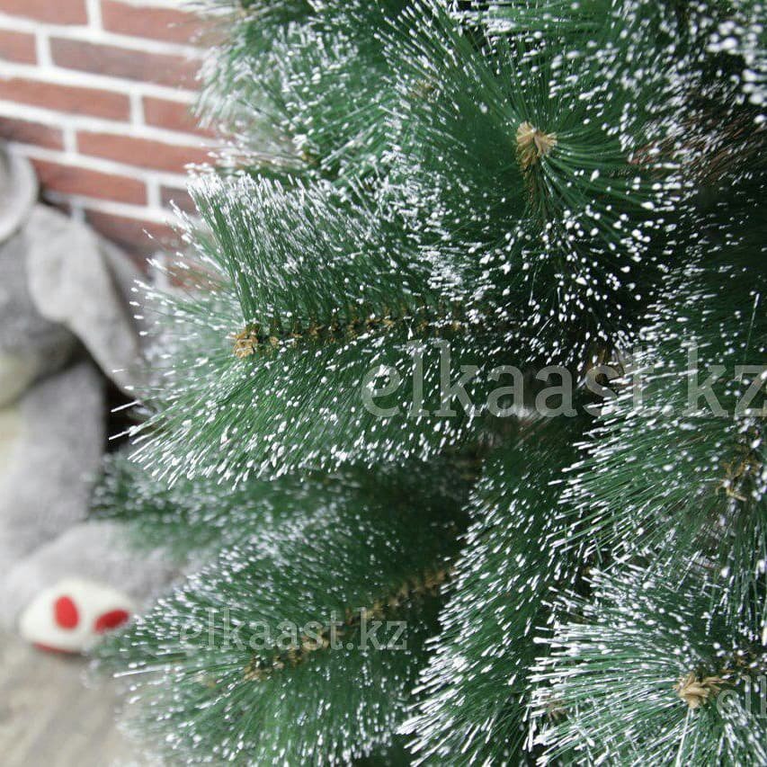 Фото елок от поставщика (прислал мне при оформлении заказа). Так он демонстрировал свой товар