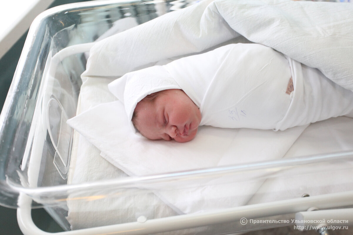 Из свободного доступа 