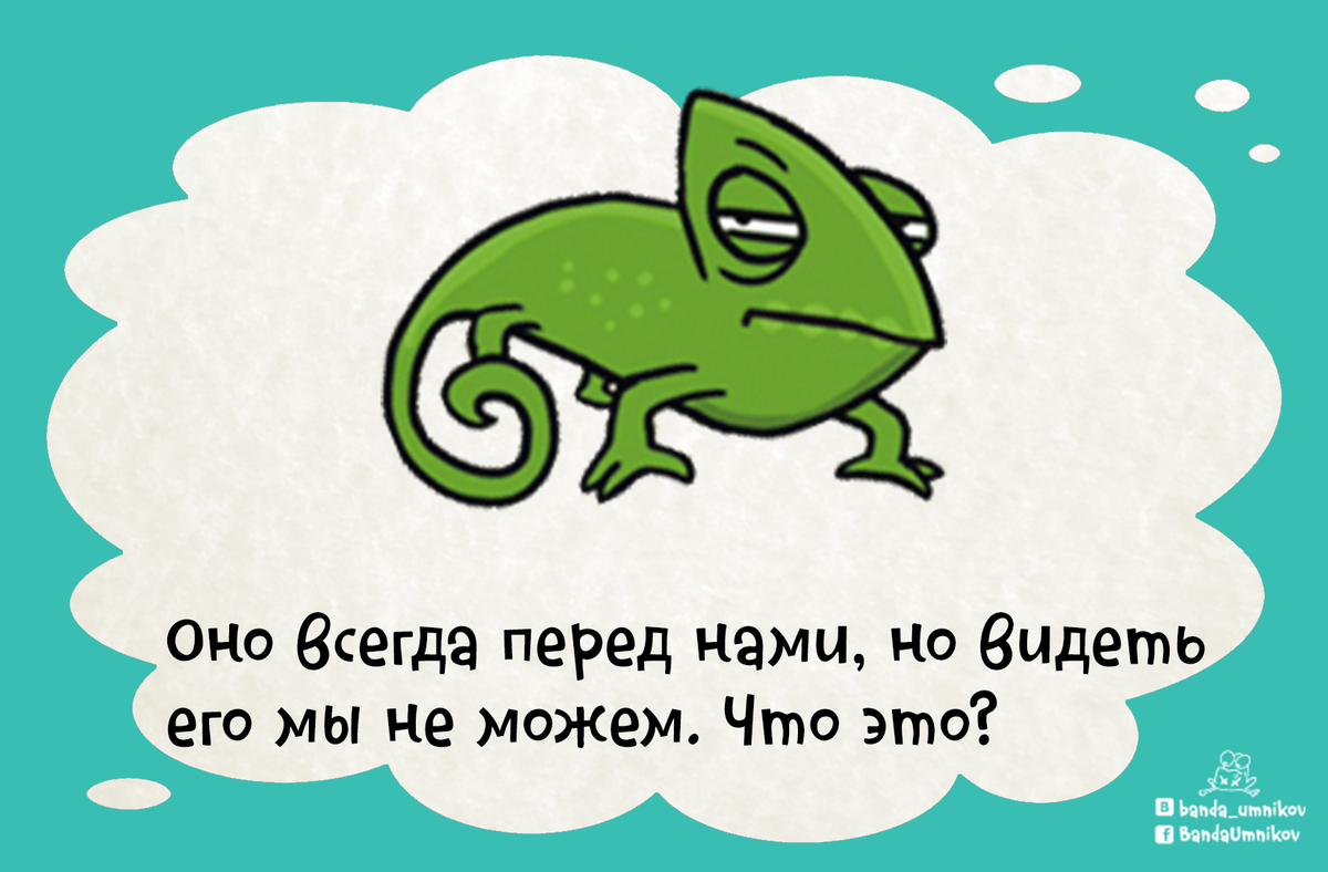 Летает без крыльев, плачет без глаз. Кто это? 🐔 | Банда умников | Дзен