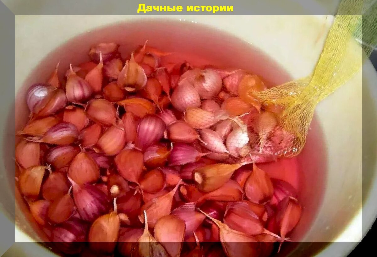 https://vk.com/photo-159774511_457244495