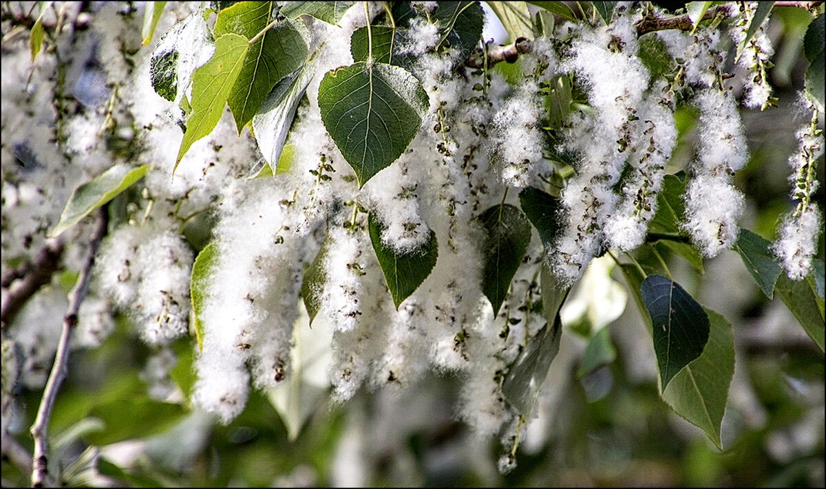 Источник:  yandex.fr/images/ 