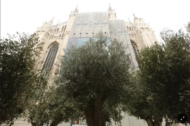 Фото с итальянского издания La repubblica. 