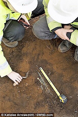 Археологи на месте раскопок. Источник: dailymail.co.uk.