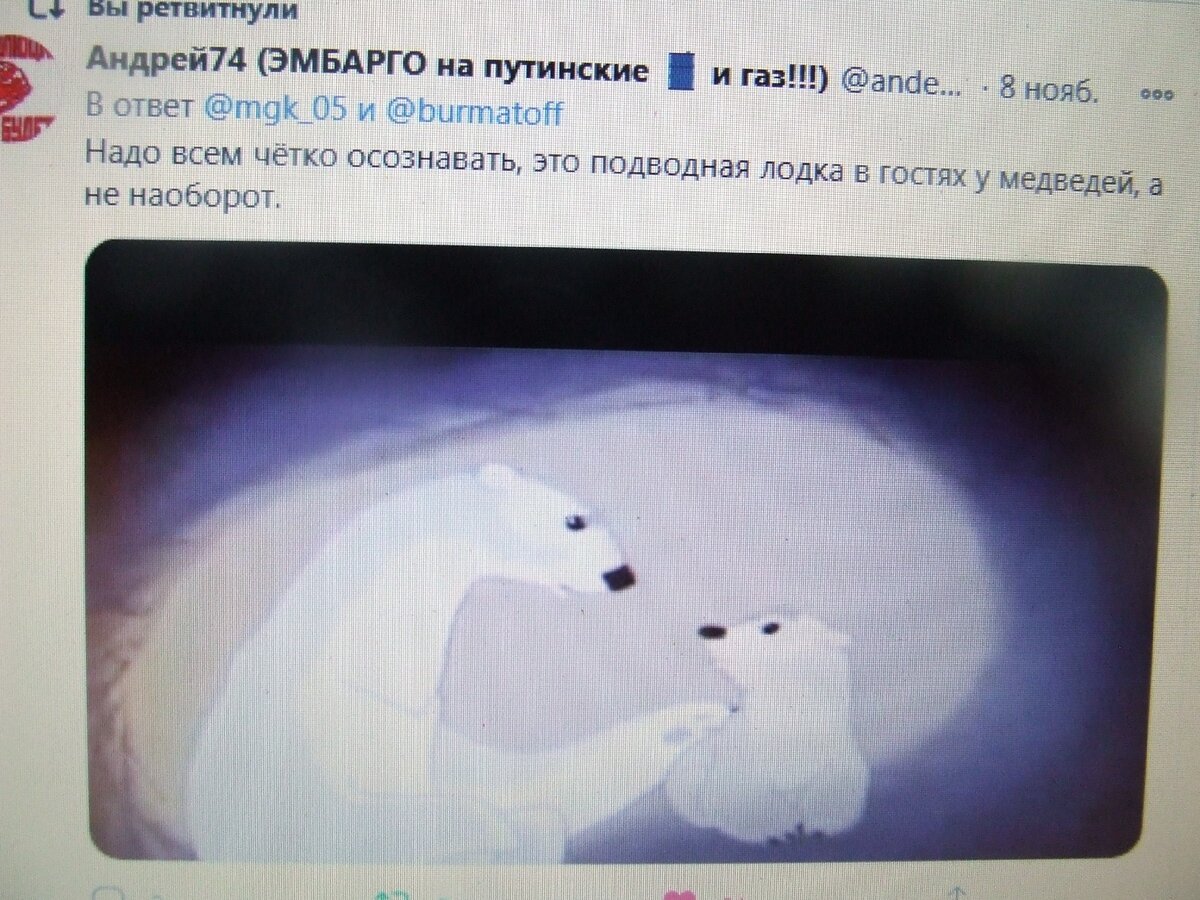 Это военные в гостях у медведей, а не наоборот, пишут мои читатели в твиттере