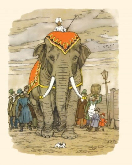 Мир животных