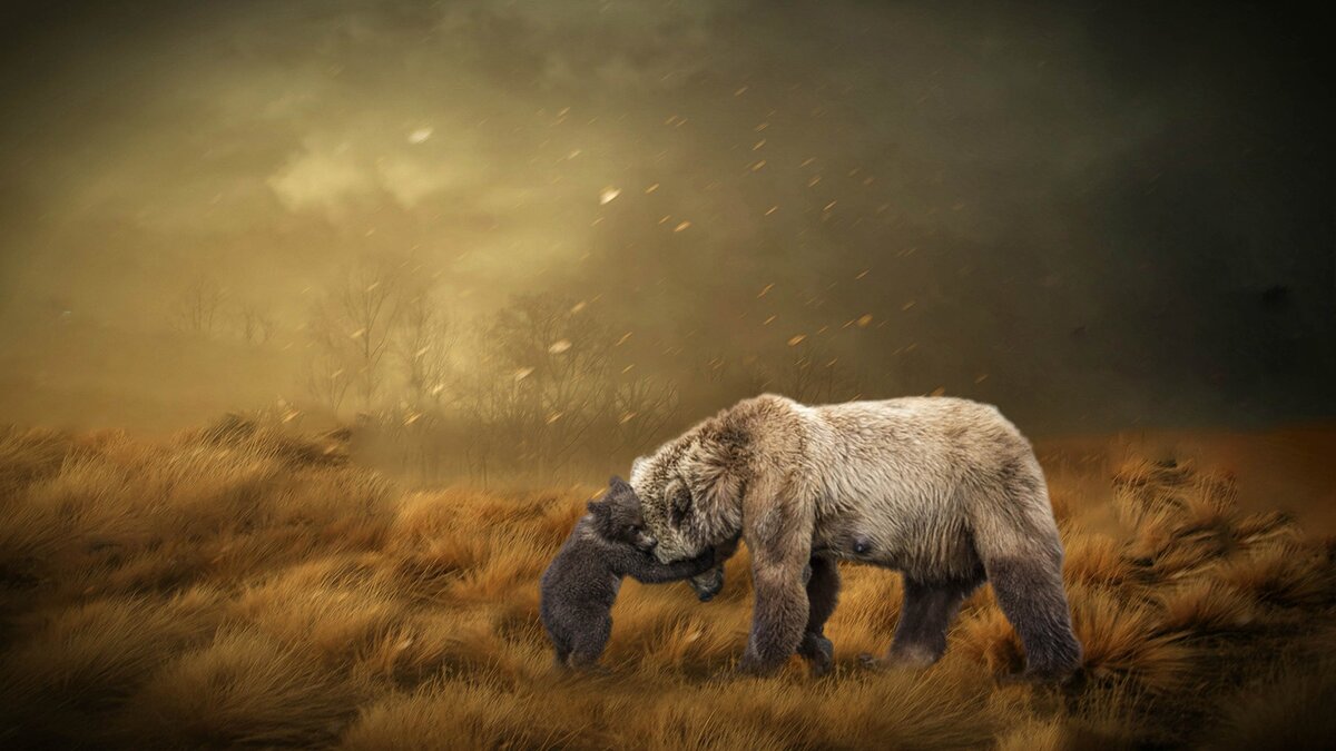 Источник: Pixabay.com