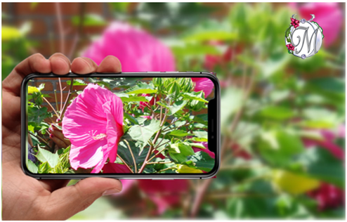 Ставьте лайки и подписывайтесь на мой канал.