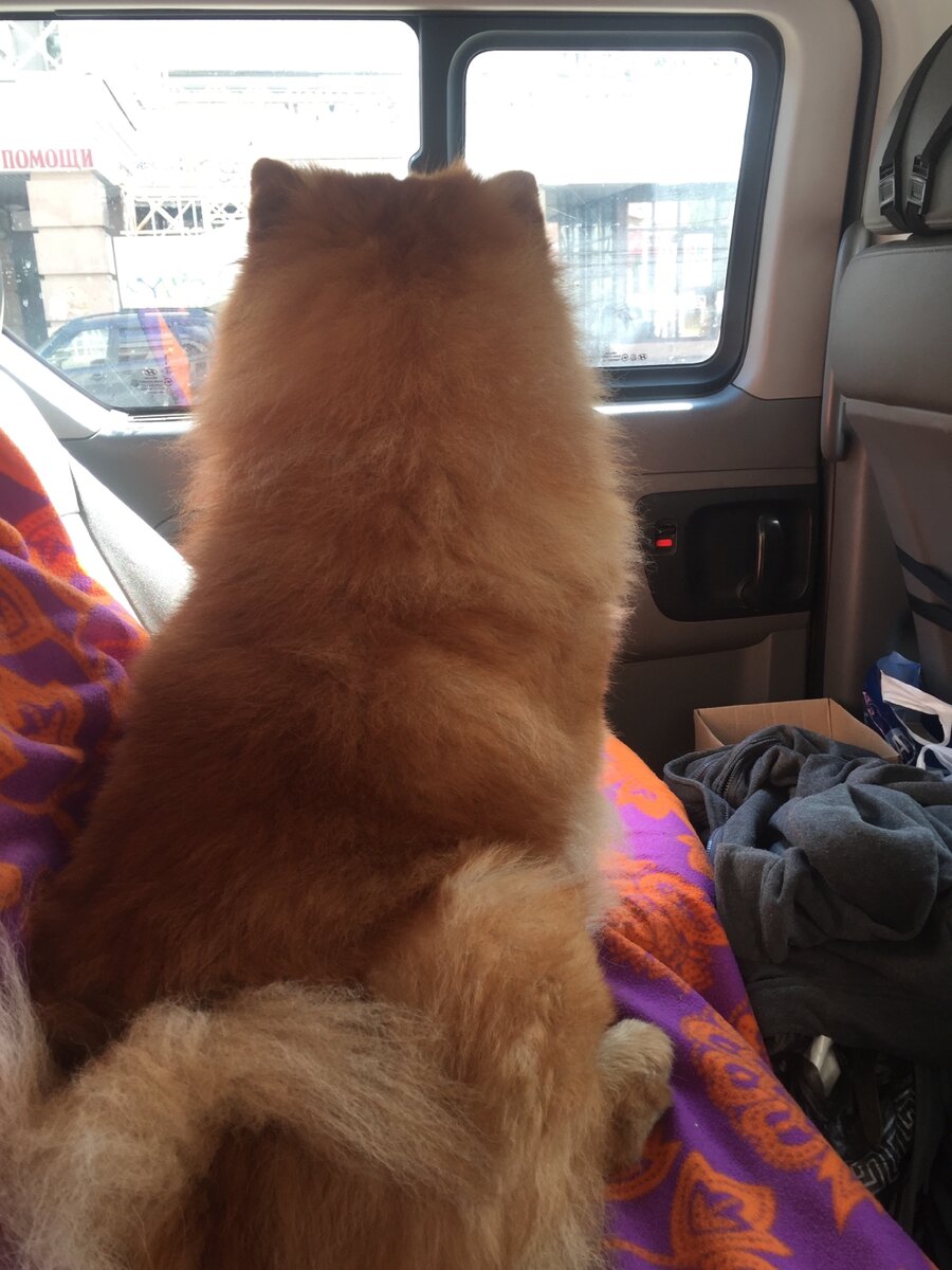 Прощается с родным городом