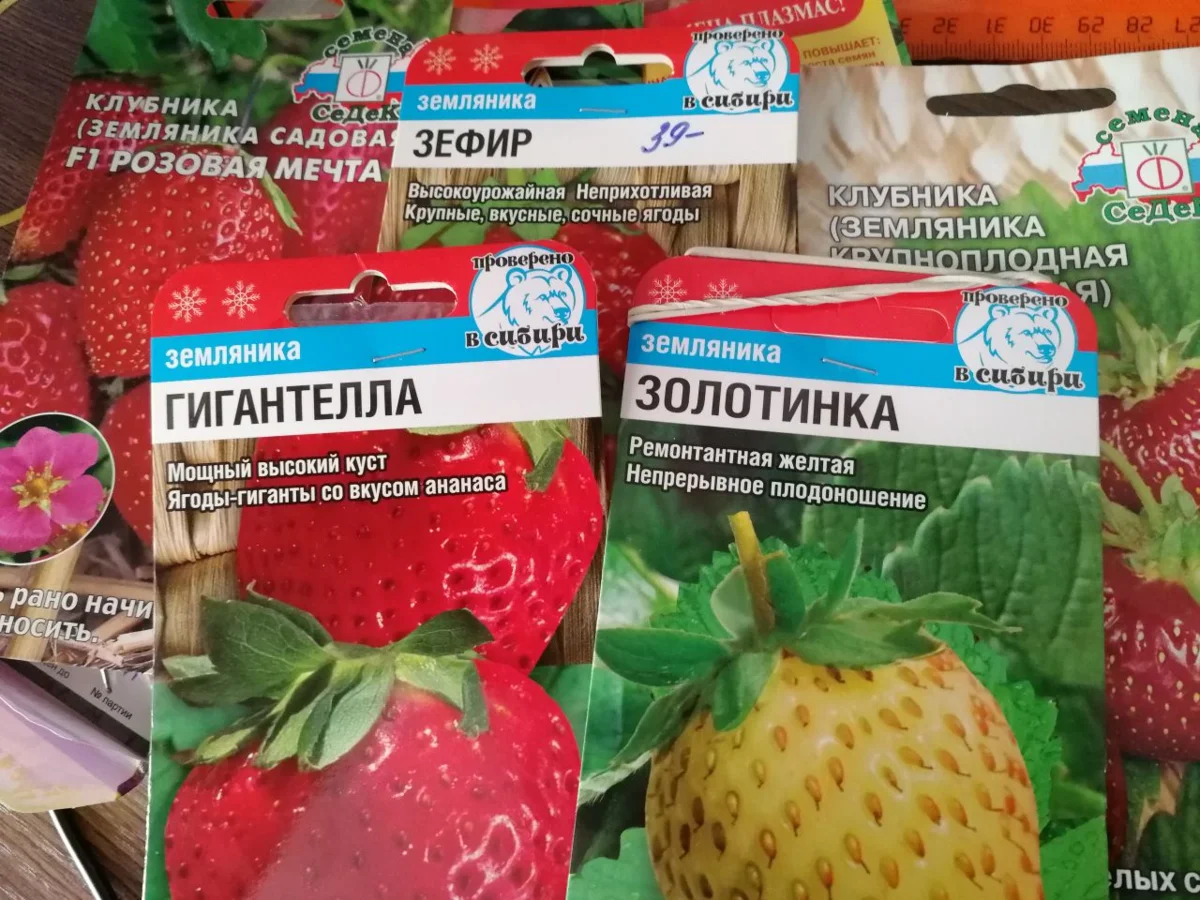 Мои семена земляники