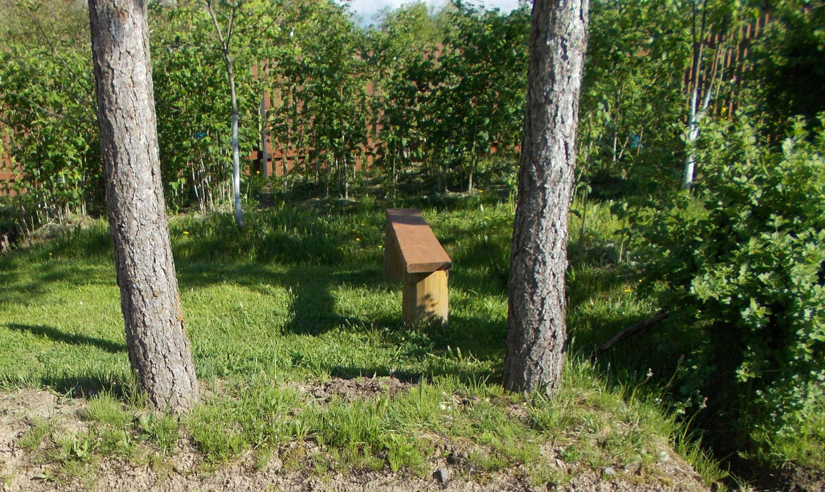 Фото автора. Лавочка для отдыха от дел огородных.