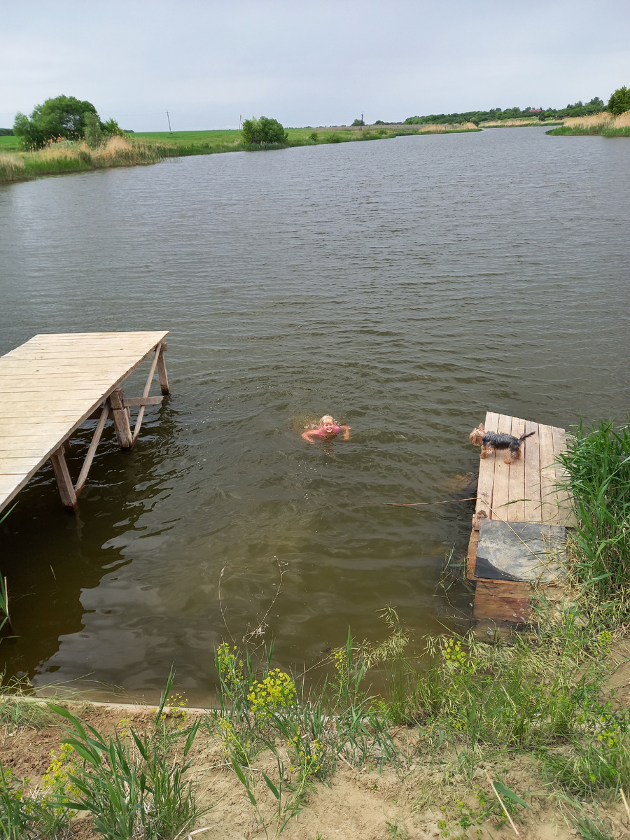 дочка плавает, собака гавкает