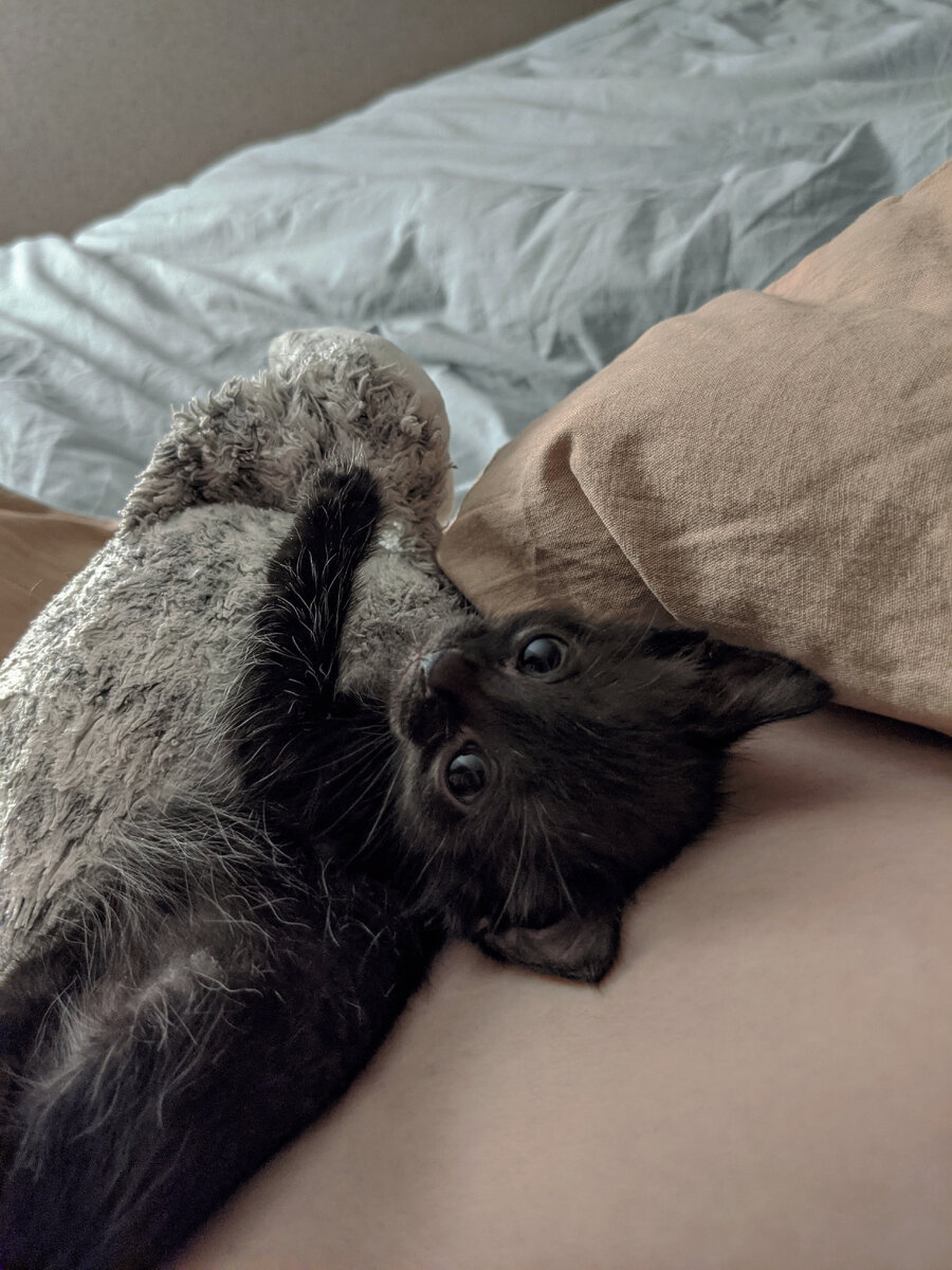 Первый день, как она у нас