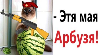 Лютые приколы. КОТ ЛЮБИТ АРБУЗ!!! Тест на психику! Засмеялся проиграл! – Domi Show!