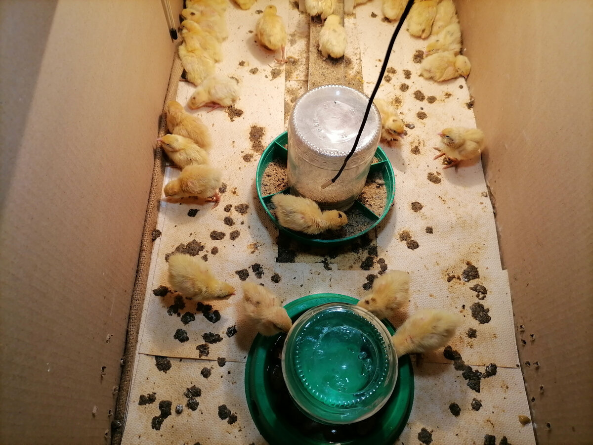 Через тридцать минут после уборки.